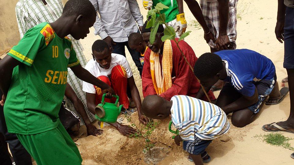 CATF_Enda ECOPOP_Senegal (1).png
