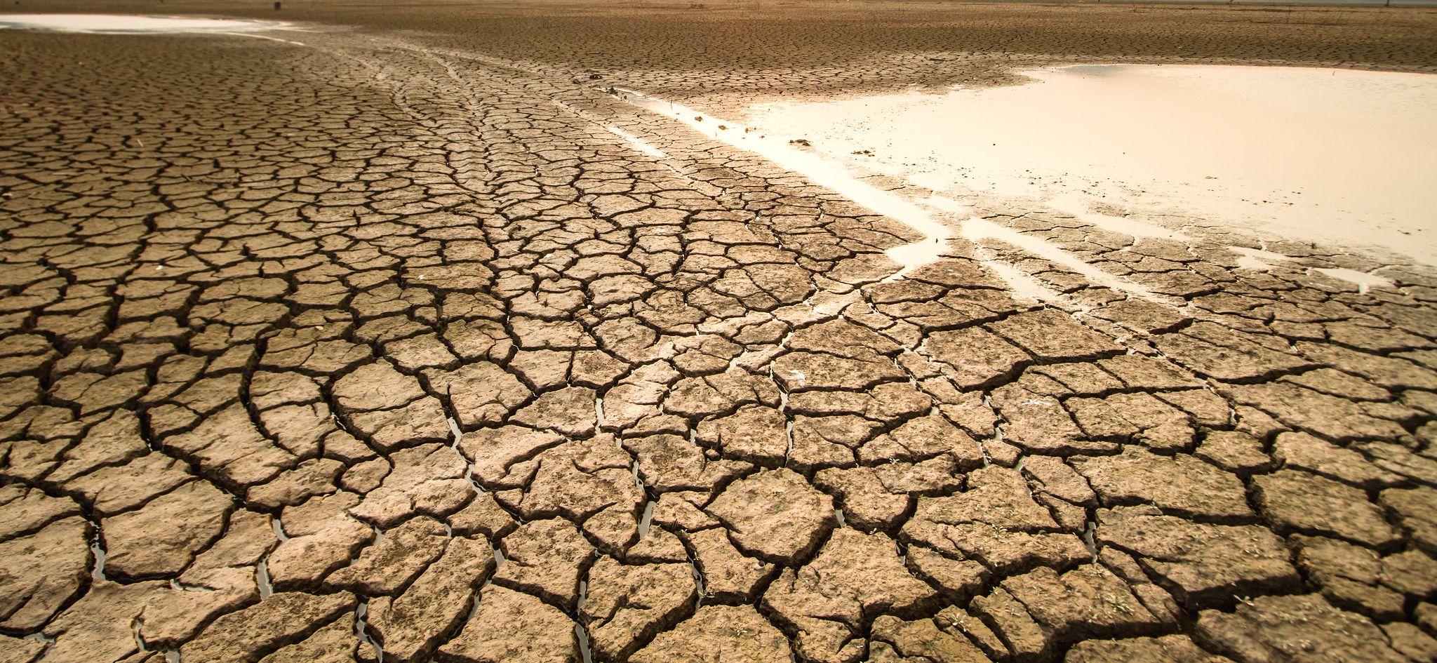 Climate change_1.jpg