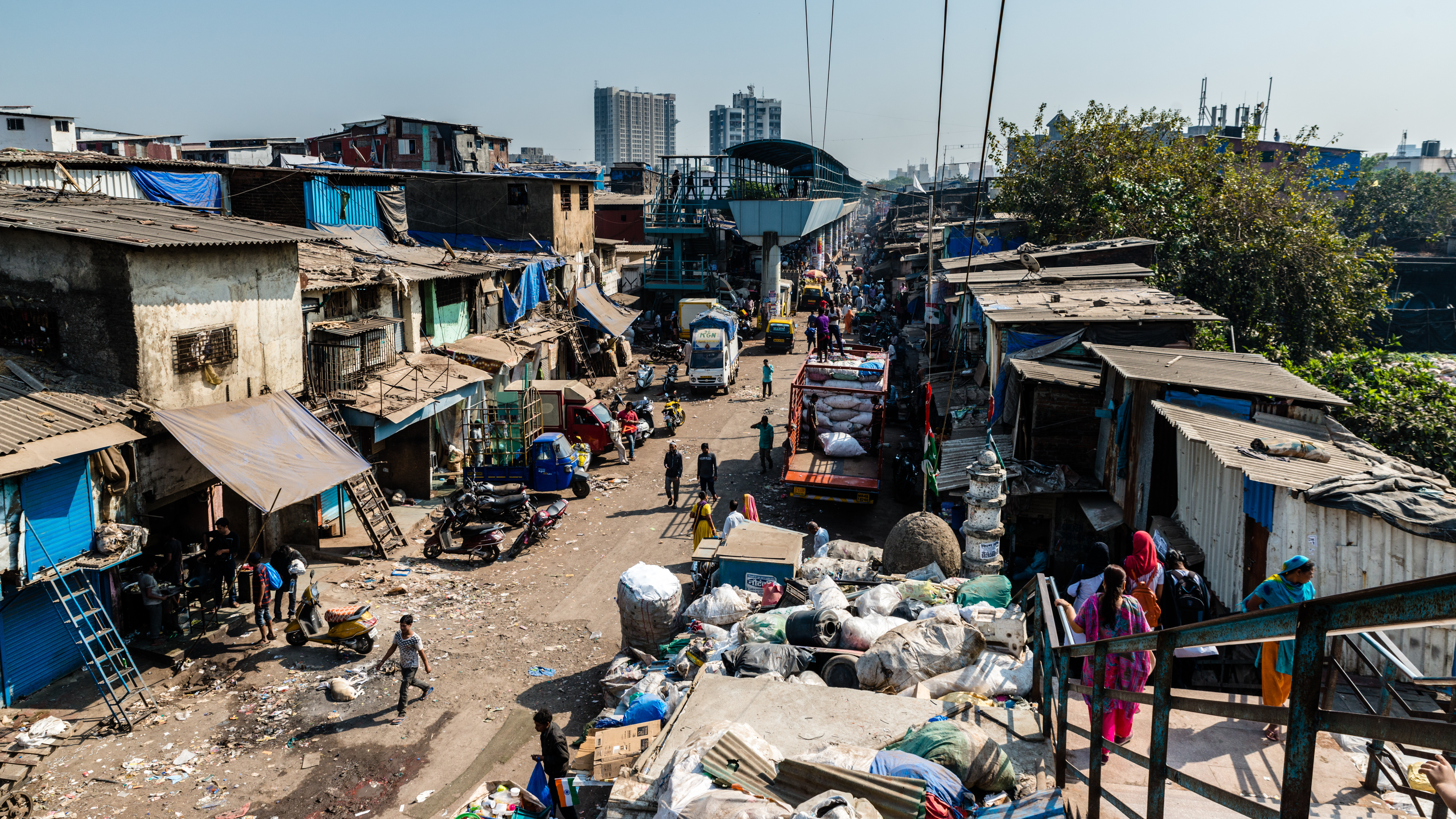 AdobeStock_253781423_0.jpeg