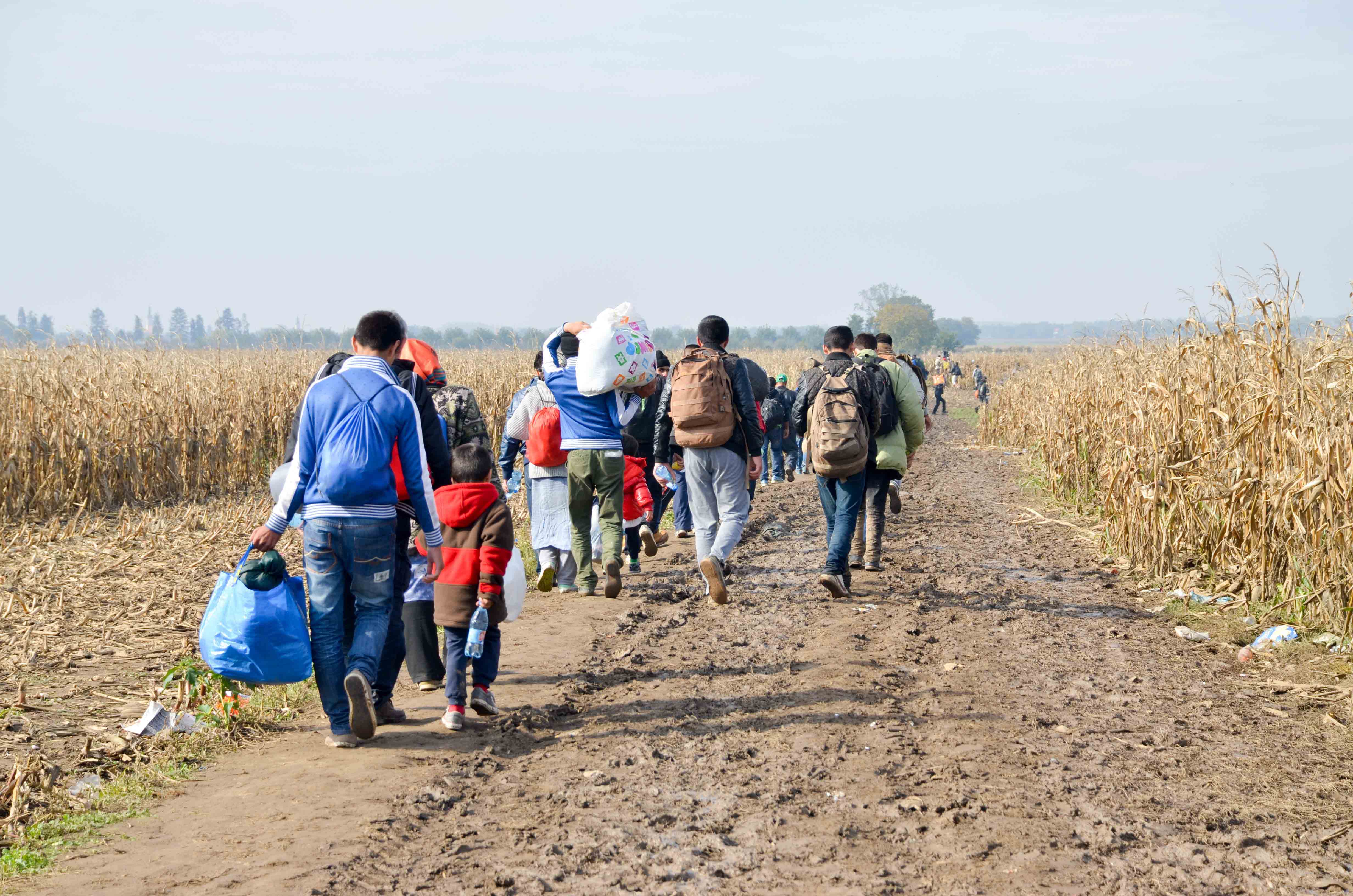 Migraciones Vivienda y Ciudad Migraciones Vivienda y Ciudad