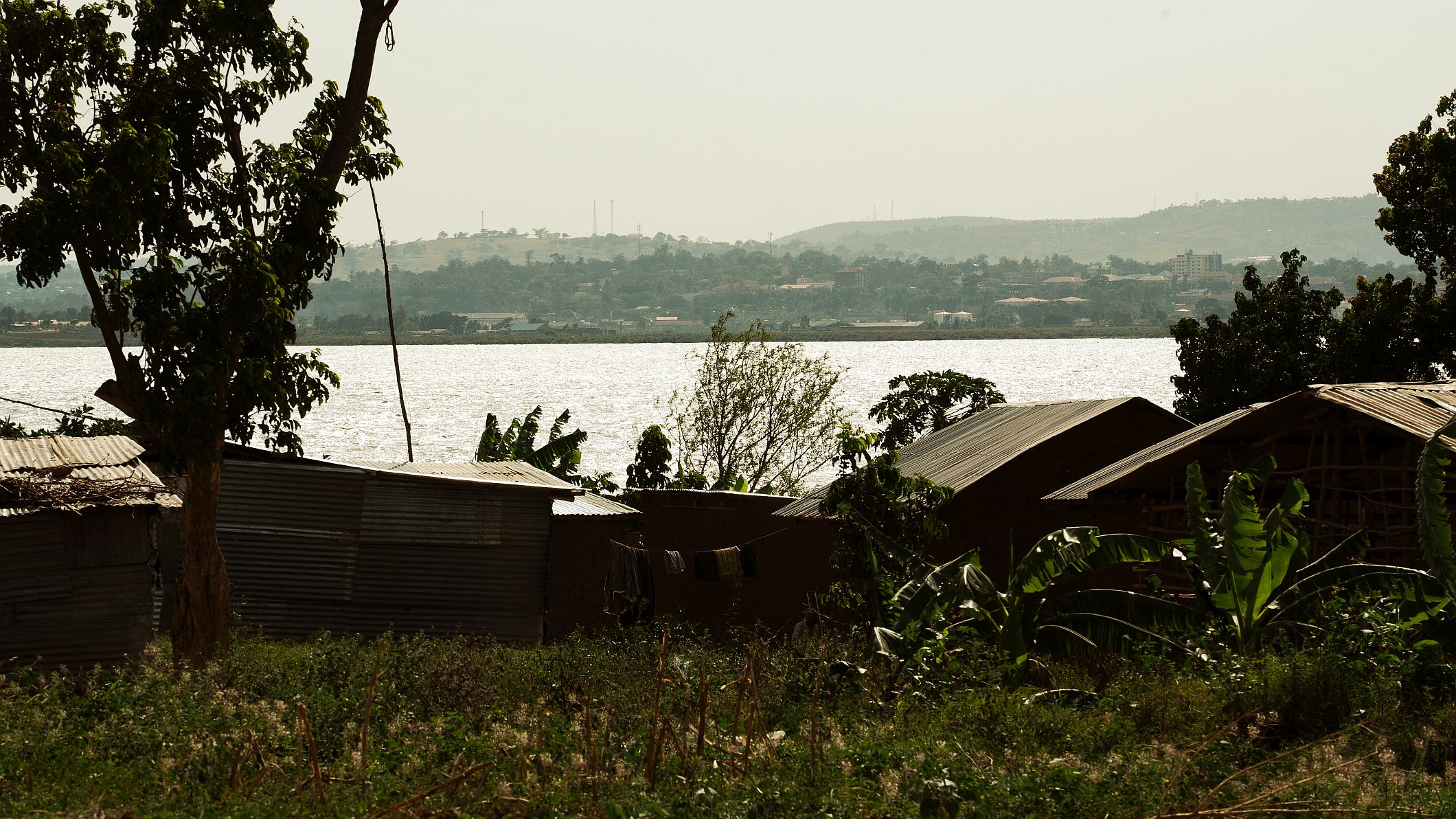 Island Lake Victoria, Uganda Island Lake Victoria, Uganda