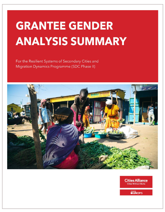 sdcii-gender-analysis-cover.png
