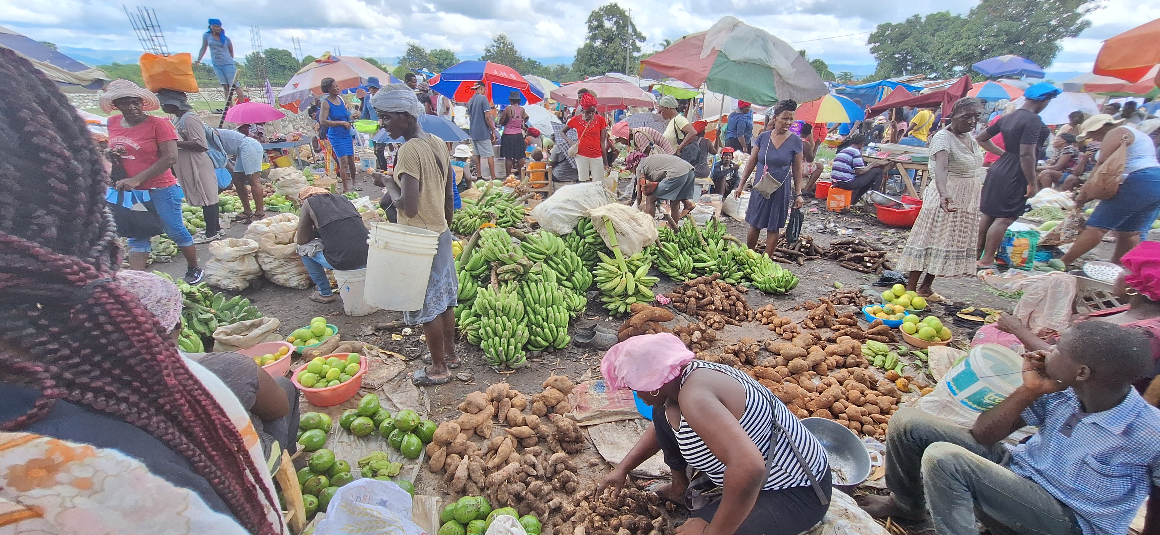 Commercial activities at Rival Market, Les Cayes, Haiti