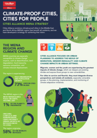 MENA Strategy Brochure 2024