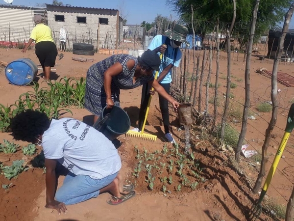 Backyard Gardening, Namibia. Credit_Namibia Housing Action Group (NHAG) Backyard Gardening, Namibia. Credit_Namibia Housing Action Group (NHAG)