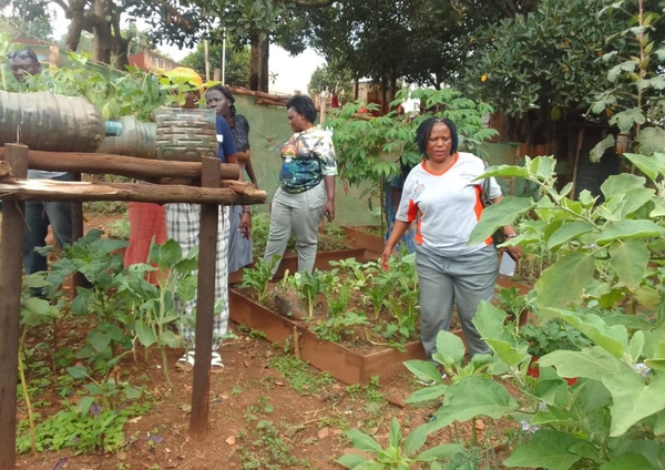 peer_to_peer_exchange_on_urban_farming_nakawa_uganda_credit_national_slum_dwellers_federation_of_uganda_nsdfu peer_to_peer_exchange_on_urban_farming_nakawa_uganda_credit_national_slum_dwellers_federation_of_uganda_nsdfu