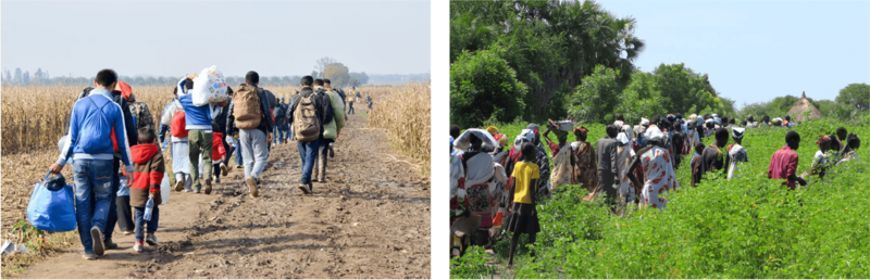 Migrants, South Sudan Migration