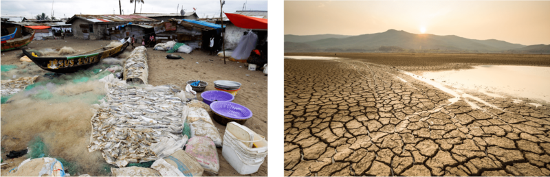 Climate Change_Liberia and AdobeStock_295326025-page 124.png Fish market in Liberia and AdobeStock_295326025