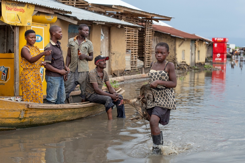 A GIR WADES THROUGH THE WATER IN RWANGARA, Uganda. Floods 2020. Photo_Climate Centre web