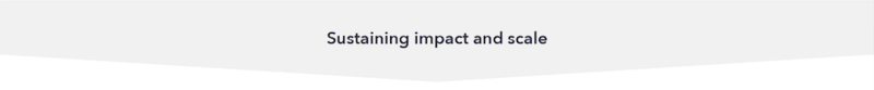 Sustaining impact and scale header Sustaining impact and scale header