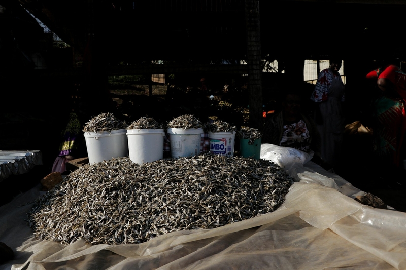 49525868782_34583826e4_k Market Uganda.jpg 49525868782_34583826e4_k Market Uganda.jpg