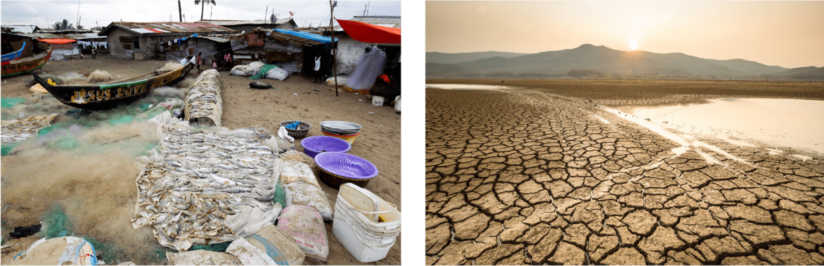 Climate Change_Liberia and AdobeStock_295326025-page 124.png Fish market in Liberia and AdobeStock_295326025