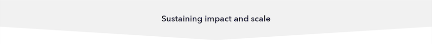 Sustaining impact and scale header Sustaining impact and scale header
