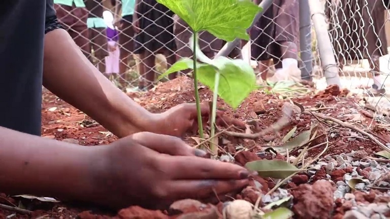 Children help creating pocket park in Nairobi, Kenya. Photo Credit: Hope Raisers.