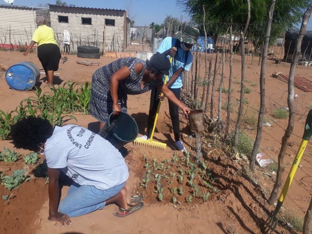 Backyard Gardening, Namibia. Credit_Namibia Housing Action Group (NHAG) Backyard Gardening, Namibia. Credit_Namibia Housing Action Group (NHAG)