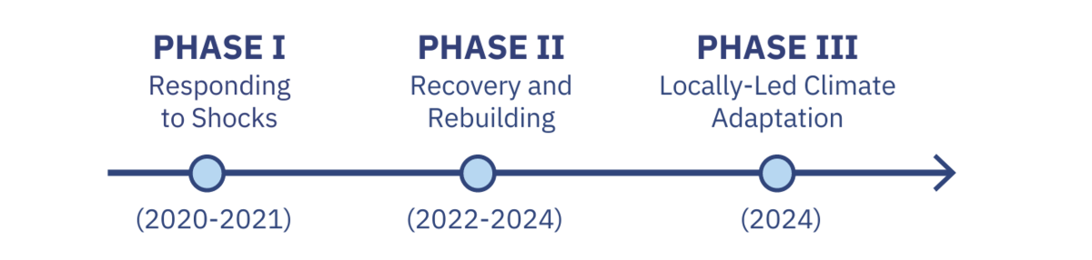 programme_phases programme_phases