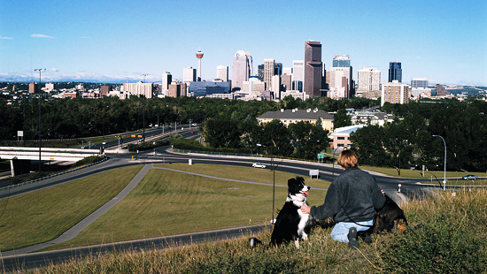 ecotwocity.jpeg ecotwocity.jpeg