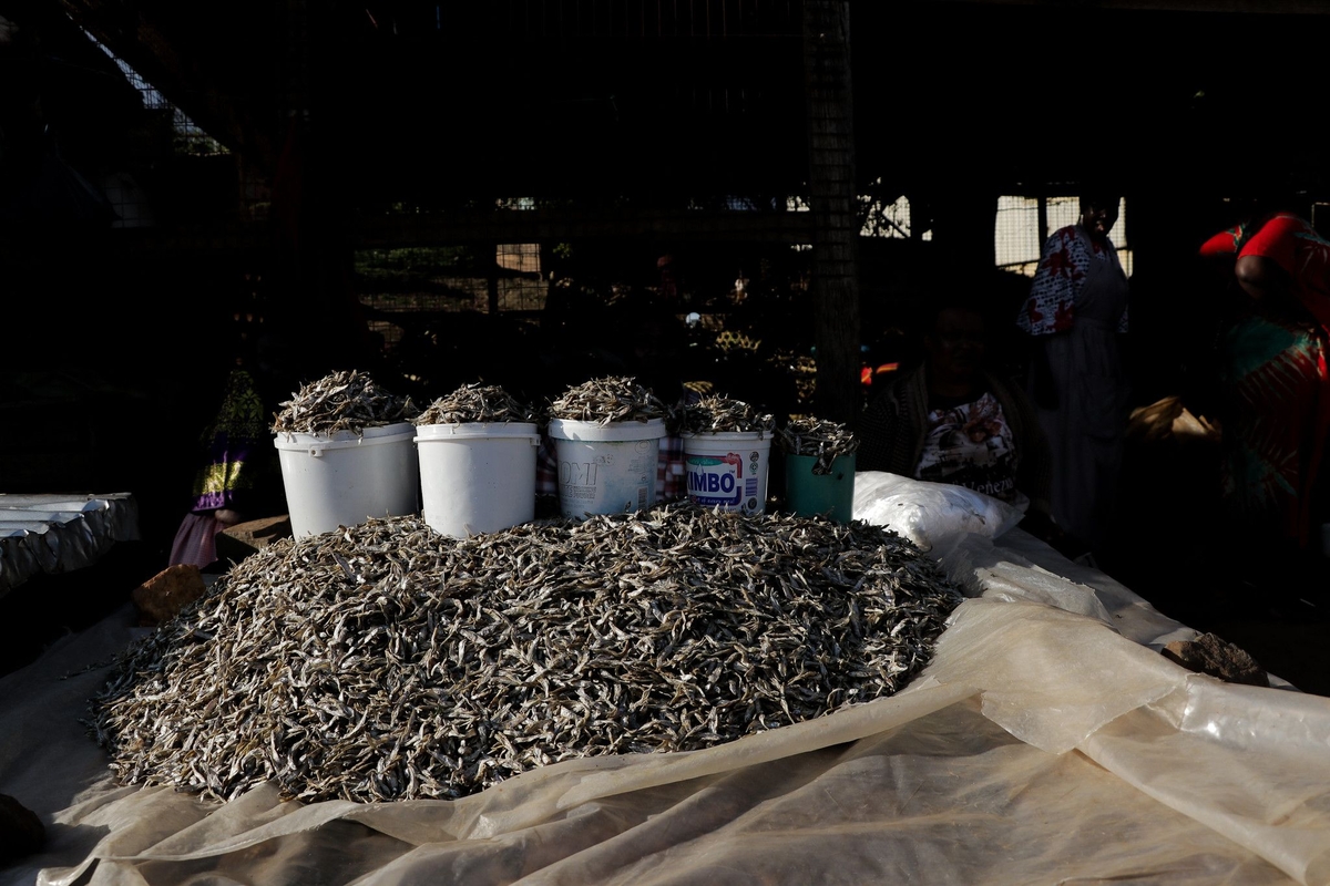49525868782_34583826e4_k Market Uganda.jpg 49525868782_34583826e4_k Market Uganda.jpg