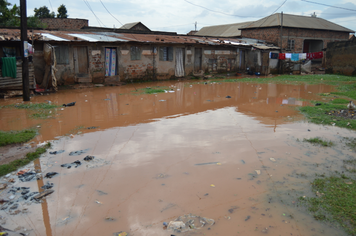 Rental units cut off by flooded compound in Bwaise. Photo Credit; TAU.JPG