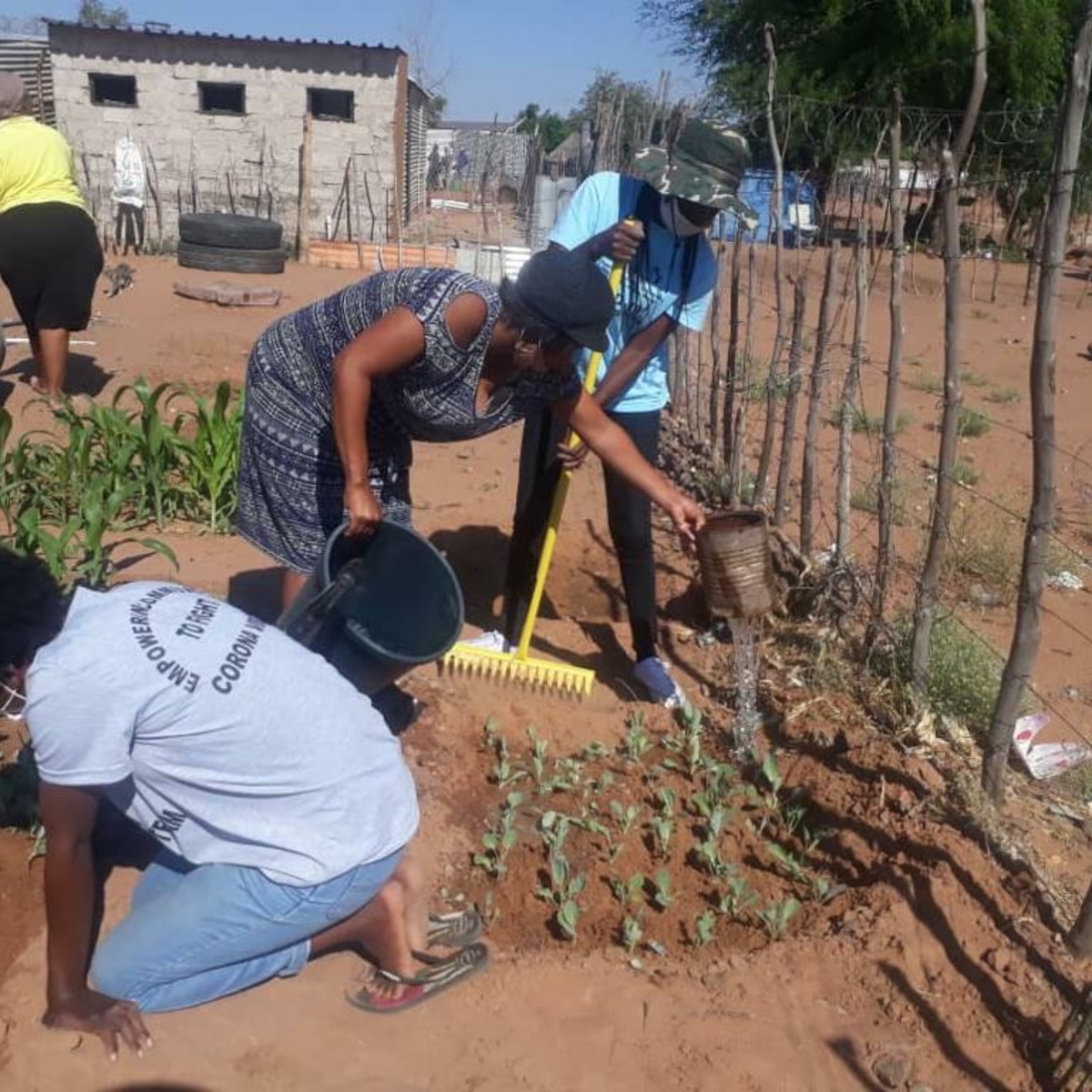Permaculture backyard gardening training (Namibia Housing Action Group / Shack Dwellers Federation of Namibia)
