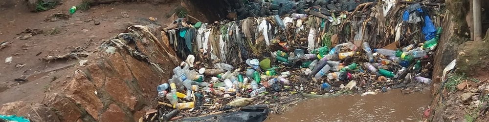 tree uganda_0.jpg tree uganda_0.jpg