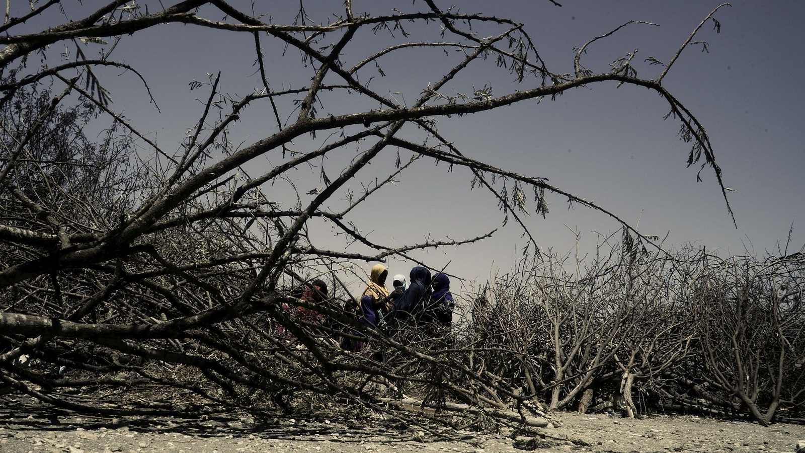 IDPs family _ drought in Borama, Somaliland